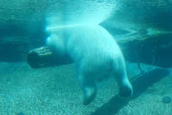  : Zoo : Sister Stef