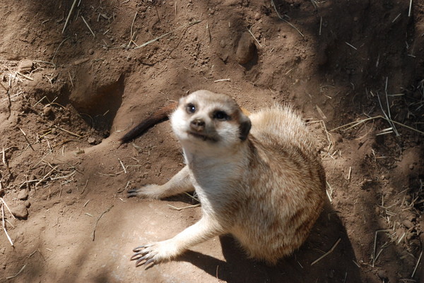  : Zoo : Sister Stef